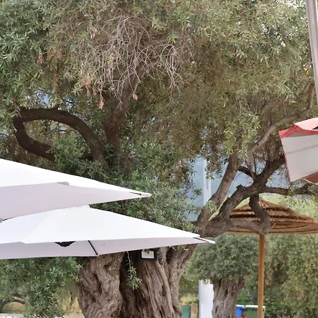 Dioscuri Deluxe Apartments شقة فندقية 3*